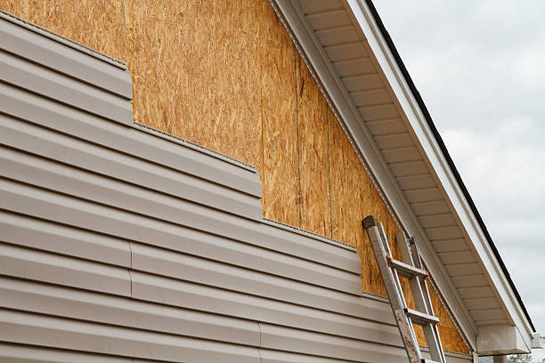 Professional Siding Repair technician working in Hamilton, IL